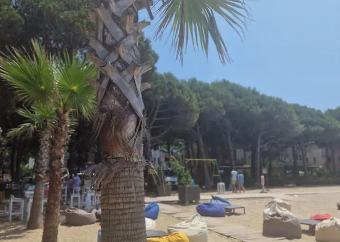 Διαμέρισμα Pearl Adriatic Coast 2 *