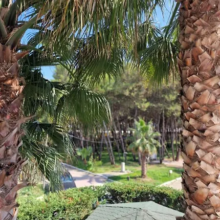 Pearl Adriatic Coast 2