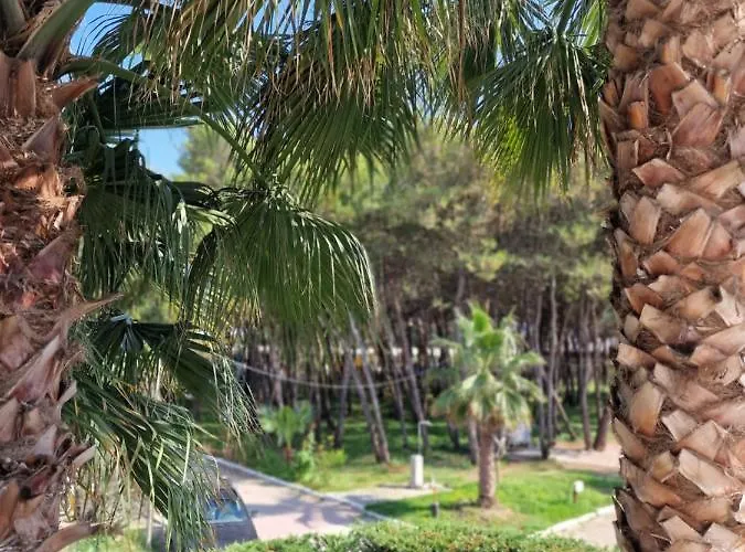 Pearl Adriatic Coast 2